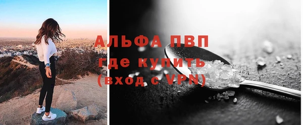 прущие грибы Верея
