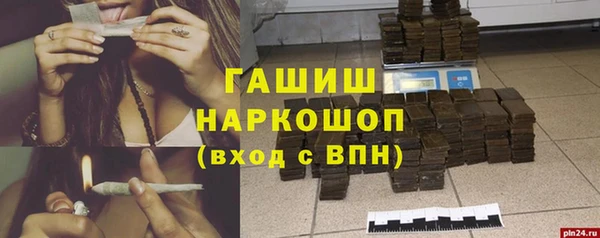 PSILOCYBIN Тайга