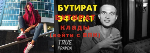прущие грибы Верея