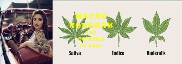 амф Верхний Тагил