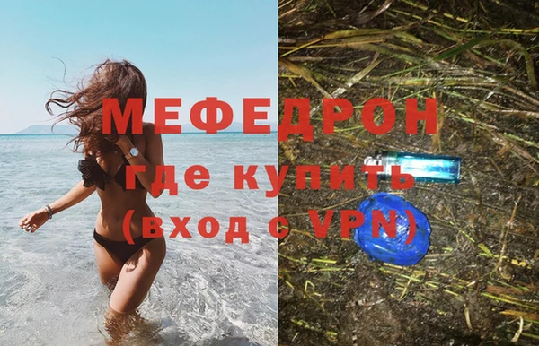 прущие грибы Верея