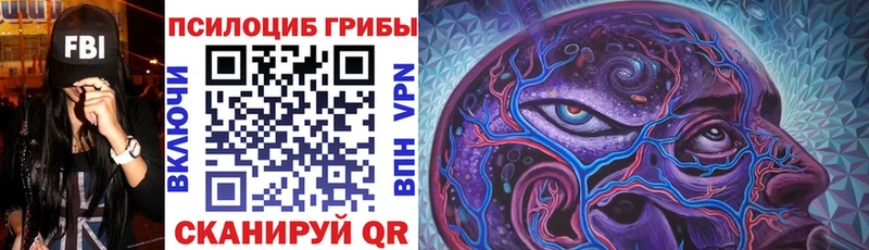 Псилоцибиновые грибы MAGIC MUSHROOMS  Выборг 